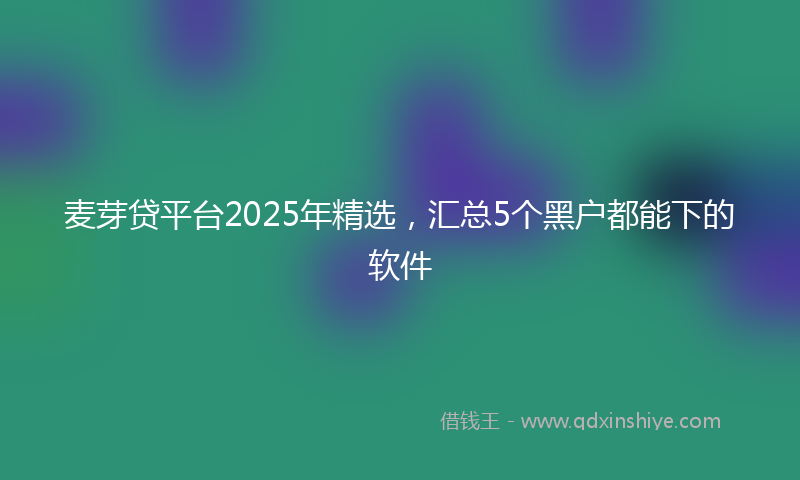 麦芽贷平台2025年精选，汇总5个黑户都能下的软件