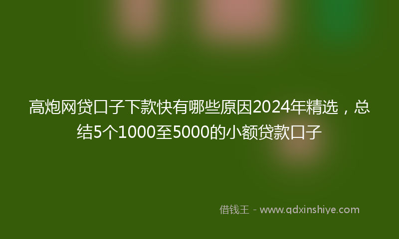 高炮网贷口子下款快有哪些原因2024年精选，总结5个1000至5000的小额贷款口子