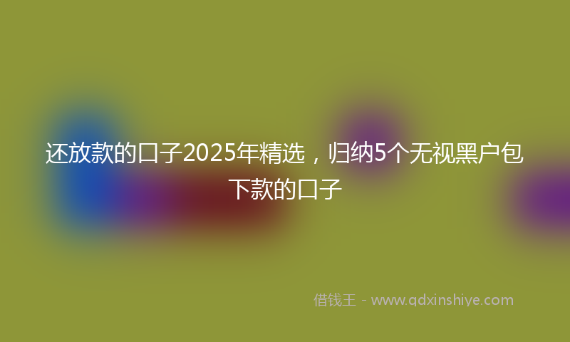 还放款的口子2025年精选，归纳5个无视黑户包下款的口子