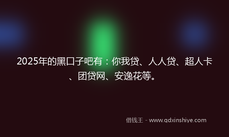 2025年的黑口子吧有：你我贷、人人贷、超人卡、团贷网、安逸花等。