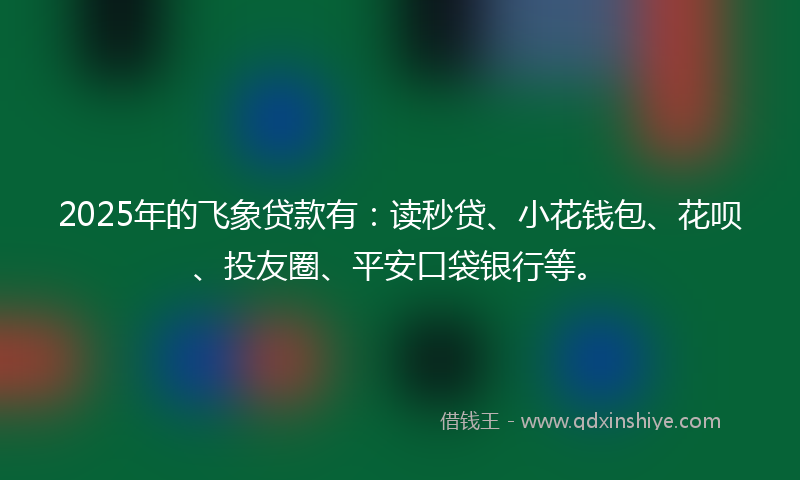 2025年的飞象贷款有：读秒贷、小花钱包、花呗、投友圈、平安口袋银行等。
