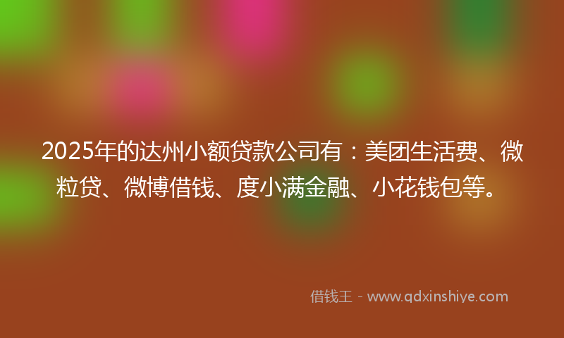 2025年的达州小额贷款公司有：美团生活费、微粒贷、微博借钱、度小满金融、小花钱包等。