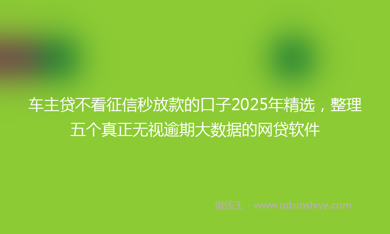 车主贷不看征信秒放款的口子2025年精选，整理五个真正无视逾期大数据的网贷软件