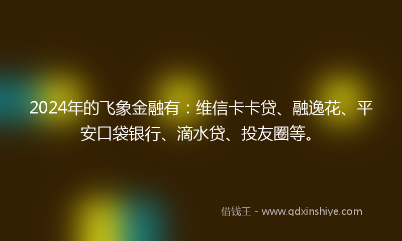 2024年的飞象金融有：维信卡卡贷、融逸花、平安口袋银行、滴水贷、投友圈等。