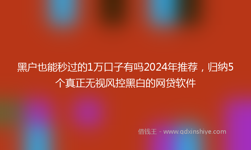 黑户也能秒过的1万口子有吗2024年推荐，归纳5个真正无视风控黑白的网贷软件