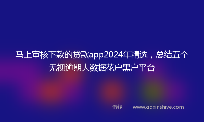 马上审核下款的贷款app2024年精选，总结五个无视逾期大数据花户黑户平台