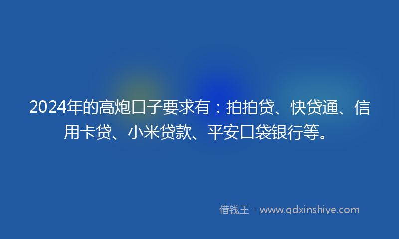 2024年的高炮口子要求有：拍拍贷、快贷通、信用卡贷、小米贷款、平安口袋银行等。