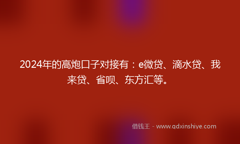 2024年的高炮口子对接有：e微贷、滴水贷、我来贷、省呗、东方汇等。