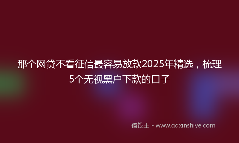 那个网贷不看征信最容易放款2025年精选，梳理5个无视黑户下款的口子