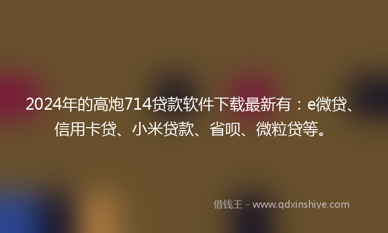 2024年的高炮714贷款软件下载最新有：e微贷、信用卡贷、小米贷款、省呗、微粒贷等。