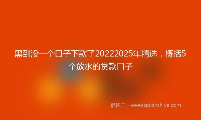 黑到没一个口子下款了20222025年精选，概括5个放水的贷款口子