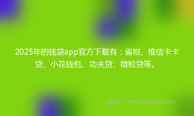 2025年的钱袋app官方下载有：省呗、维信卡卡贷、小花钱包、功夫贷、微粒贷等。