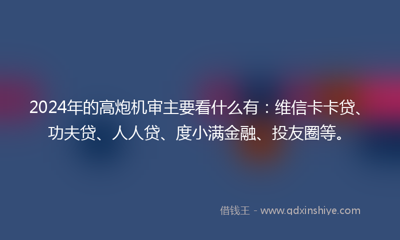 2024年的高炮机审主要看什么有：维信卡卡贷、功夫贷、人人贷、度小满金融、投友圈等。