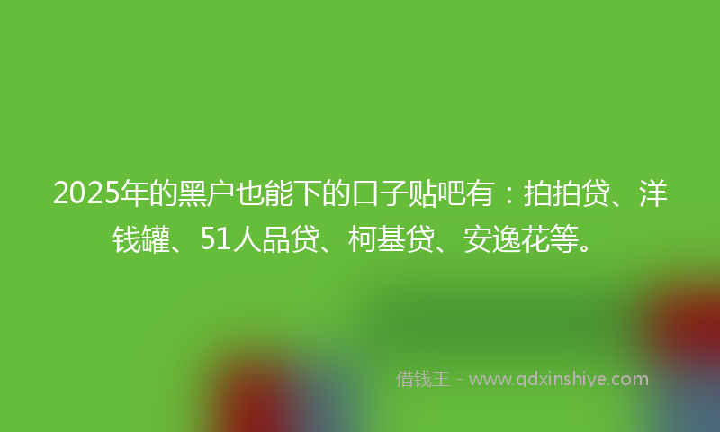2025年的黑户也能下的口子贴吧有：拍拍贷、洋钱罐、51人品贷、柯基贷、安逸花等。
