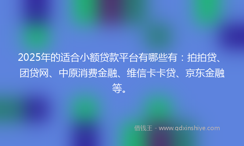 2025年的适合小额贷款平台有哪些有：拍拍贷、团贷网、中原消费金融、维信卡卡贷、京东金融等。