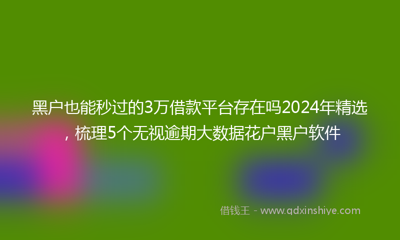 黑户也能秒过的3万借款平台存在吗2024年精选，梳理5个无视逾期大数据花户黑户软件