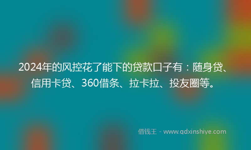 2024年的风控花了能下的贷款口子有：随身贷、信用卡贷、360借条、拉卡拉、投友圈等。