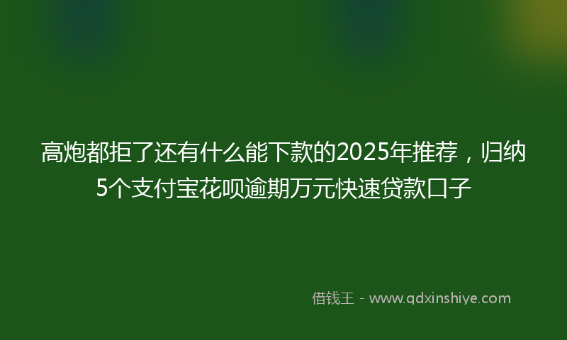 高炮都拒了还有什么能下款的2025年推荐，归纳5个支付宝花呗逾期万元快速贷款口子