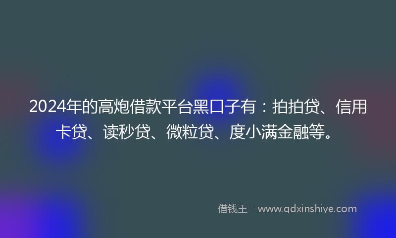 2024年的高炮借款平台黑口子有：拍拍贷、信用卡贷、读秒贷、微粒贷、度小满金融等。