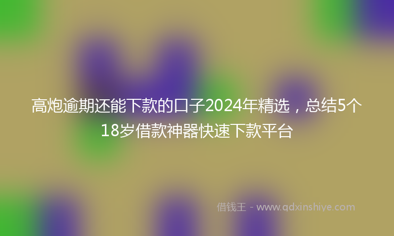 高炮逾期还能下款的口子2024年精选，总结5个18岁借款神器快速下款平台