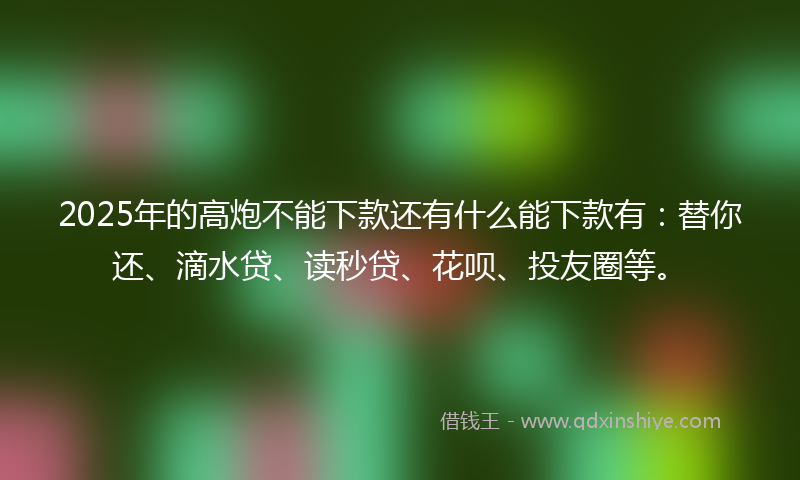 2025年的高炮不能下款还有什么能下款有：替你还、滴水贷、读秒贷、花呗、投友圈等。