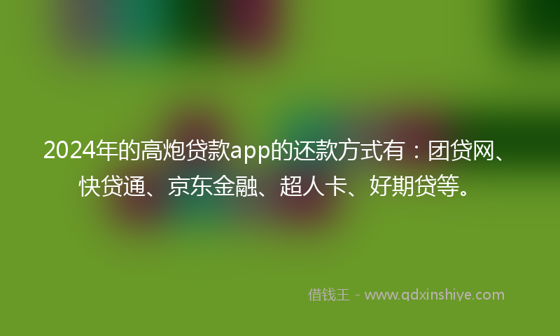 2024年的高炮贷款app的还款方式有：团贷网、快贷通、京东金融、超人卡、好期贷等。