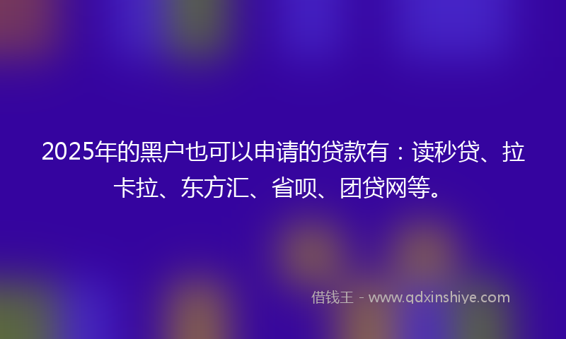2025年的黑户也可以申请的贷款有：读秒贷、拉卡拉、东方汇、省呗、团贷网等。