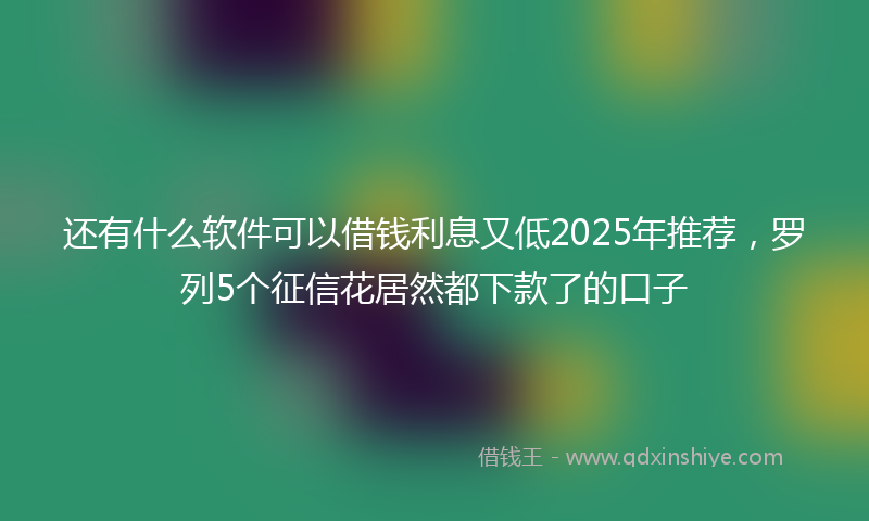 还有什么软件可以借钱利息又低2025年推荐，罗列5个征信花居然都下款了的口子