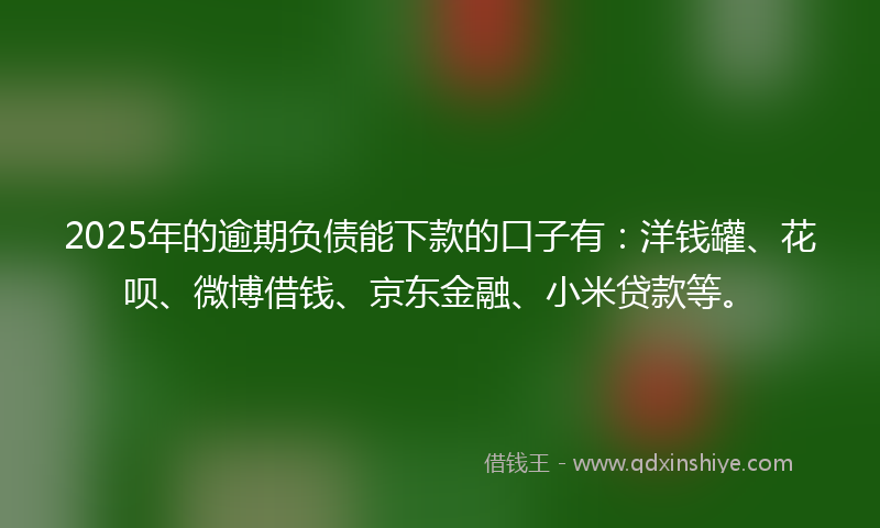 2025年的逾期负债能下款的口子有：洋钱罐、花呗、微博借钱、京东金融、小米贷款等。