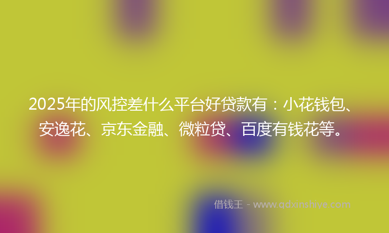 2025年的风控差什么平台好贷款有：小花钱包、安逸花、京东金融、微粒贷、百度有钱花等。