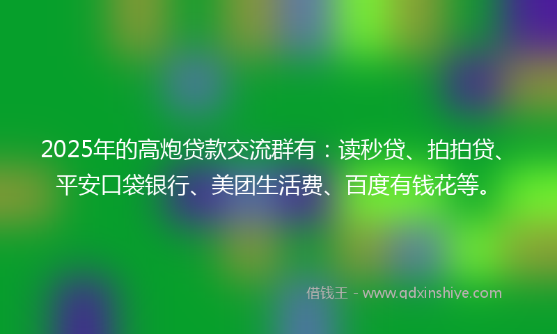 2025年的高炮贷款交流群有：读秒贷、拍拍贷、平安口袋银行、美团生活费、百度有钱花等。