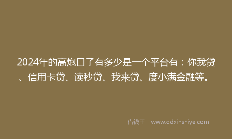2024年的高炮口子有多少是一个平台有：你我贷、信用卡贷、读秒贷、我来贷、度小满金融等。