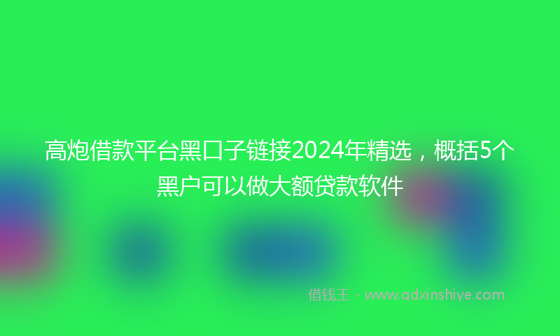 高炮借款平台黑口子链接2024年精选，概括5个黑户可以做大额贷款软件