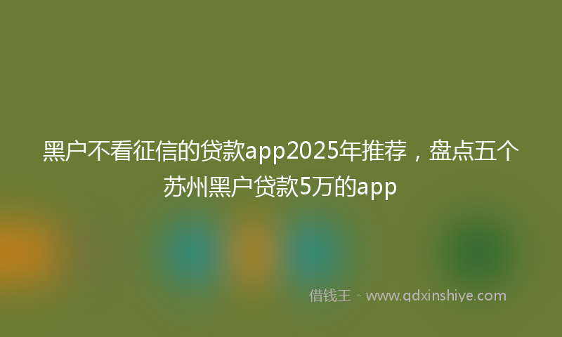 黑户不看征信的贷款app2025年推荐，盘点五个苏州黑户贷款5万的app