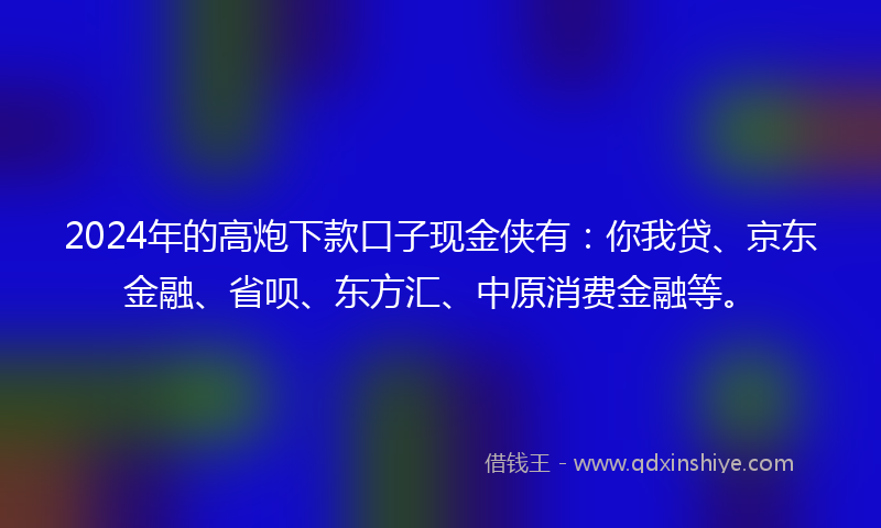 2024年的高炮下款口子现金侠有：你我贷、京东金融、省呗、东方汇、中原消费金融等。