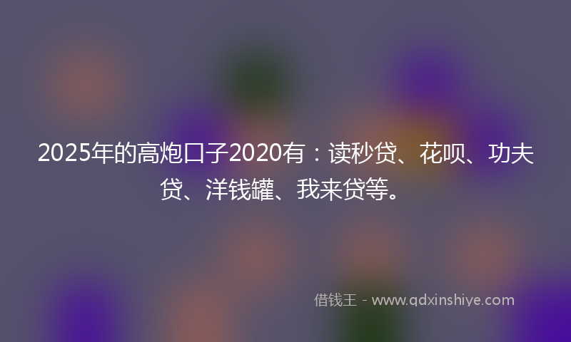 2025年的高炮口子2020有：读秒贷、花呗、功夫贷、洋钱罐、我来贷等。