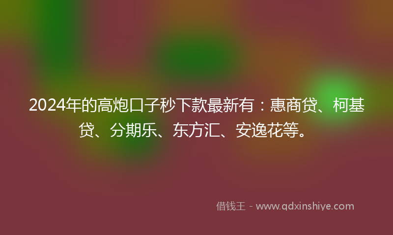 2024年的高炮口子秒下款最新有：惠商贷、柯基贷、分期乐、东方汇、安逸花等。