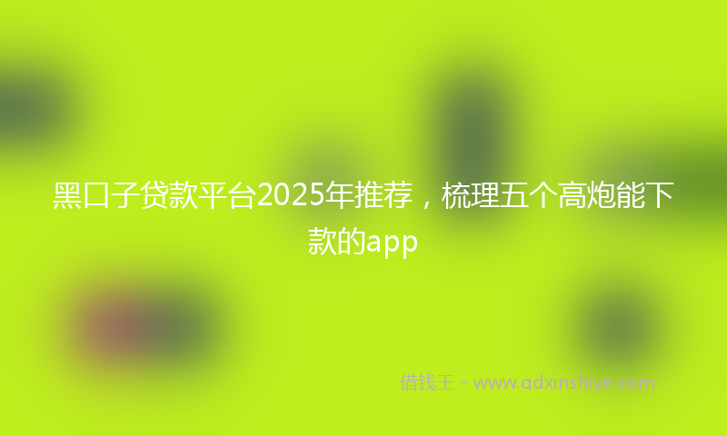 黑口子贷款平台2025年推荐，梳理五个高炮能下款的app