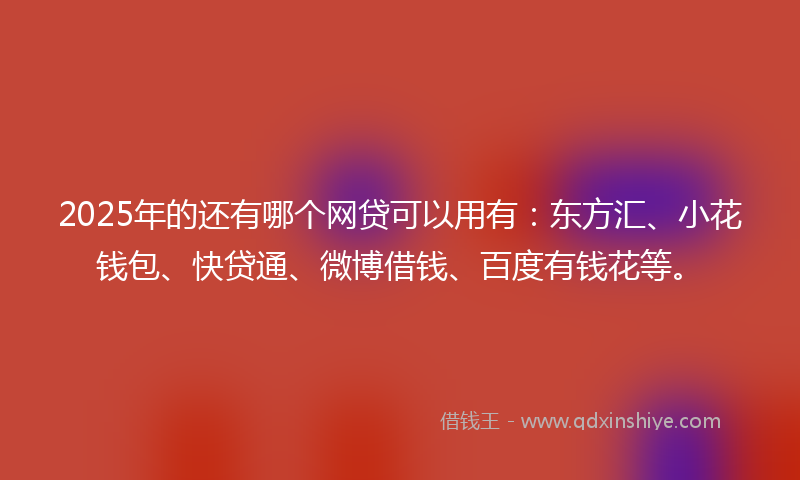 2025年的还有哪个网贷可以用有：东方汇、小花钱包、快贷通、微博借钱、百度有钱花等。