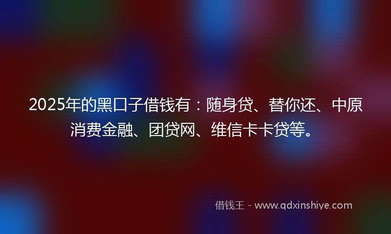 2025年的黑口子借钱有：随身贷、替你还、中原消费金融、团贷网、维信卡卡贷等。