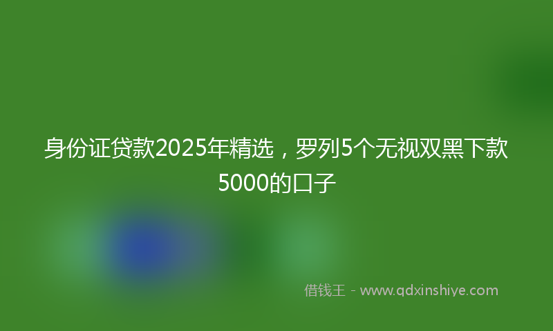 身份证贷款2025年精选，罗列5个无视双黑下款5000的口子