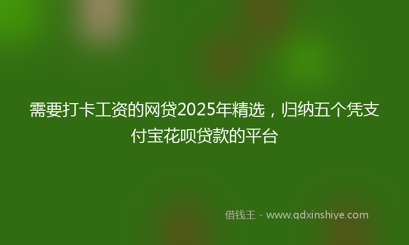 需要打卡工资的网贷2025年精选，归纳五个凭支付宝花呗贷款的平台