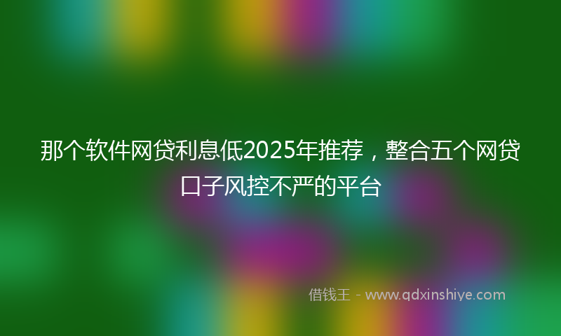 那个软件网贷利息低2025年推荐，整合五个网贷口子风控不严的平台