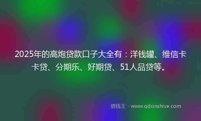 2025年的高炮贷款口子大全有：洋钱罐、维信卡卡贷、分期乐、好期贷、51人品贷等。