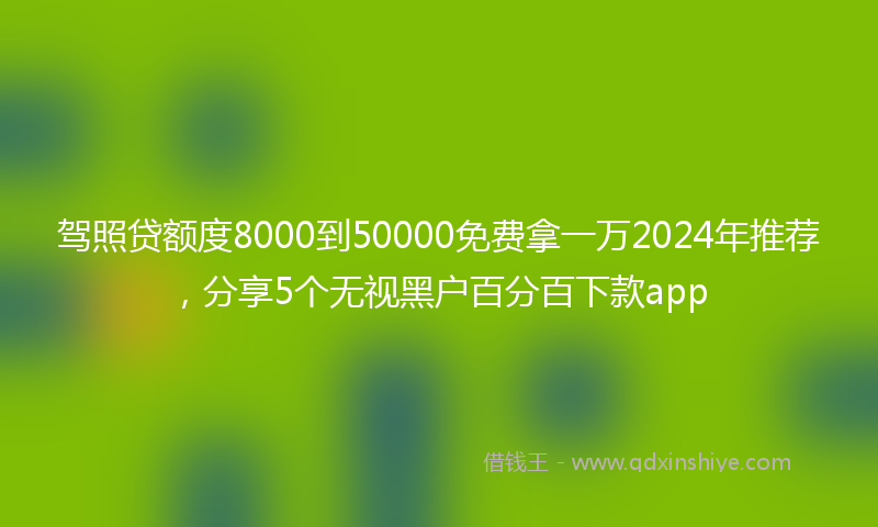 驾照贷额度8000到50000免费拿一万2024年推荐，分享5个无视黑户百分百下款app