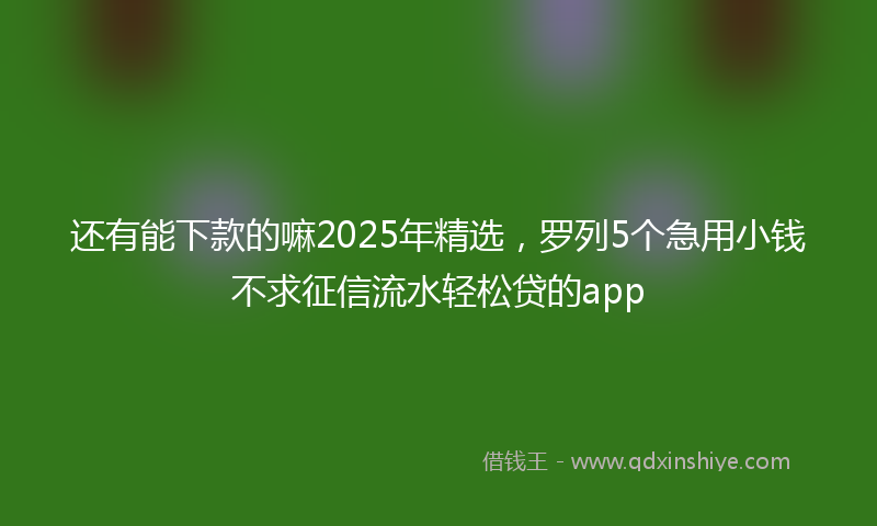 还有能下款的嘛2025年精选，罗列5个急用小钱不求征信流水轻松贷的app