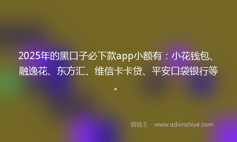 2025年的黑口子必下款app小额有：小花钱包、融逸花、东方汇、维信卡卡贷、平安口袋银行等。