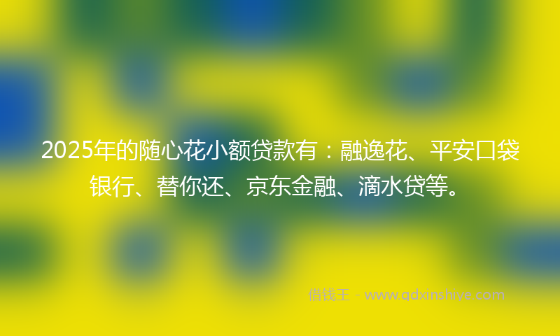 2025年的随心花小额贷款有：融逸花、平安口袋银行、替你还、京东金融、滴水贷等。