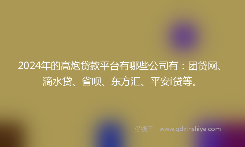 2024年的高炮贷款平台有哪些公司有：团贷网、滴水贷、省呗、东方汇、平安i贷等。