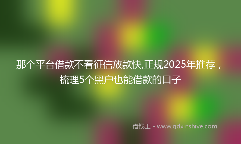 那个平台借款不看征信放款快,正规2025年推荐，梳理5个黑户也能借款的口子